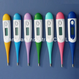 Clinical digital thermometer